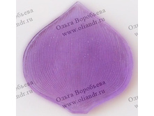 �������� ����� �.jpg