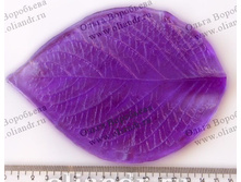 ���� ��������� L.jpg