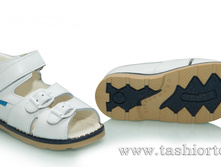 301-24(241) ������� ����� ����, ���/2 ������ - 1740 ���