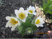 �������� �����-80 ���