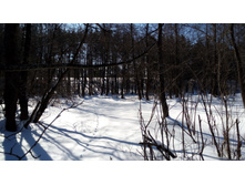 IMG 20180310 120305.jpg