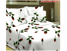 ���� ���� (030).jpg