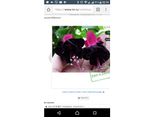 Screenshot 20171015-221401.png