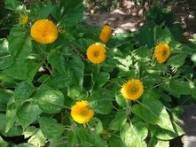 2014-08-21 13.15.54.jpg