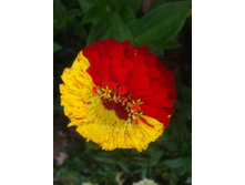 2015-09-06 16.12.11.jpg