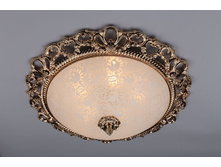 73917-05 4450�.JPG