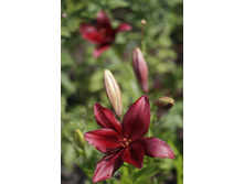 2016 ��� (16).JPG