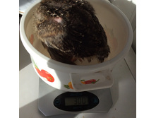 ��������� ������-708