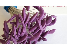 ������� ��� ����� ����������.jpg