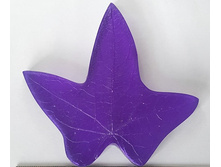 ���� ����� L.jpg