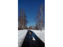 IMG 20180324 134557.jpg