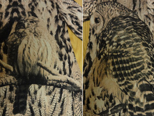 ������ � ������ ����.jpg