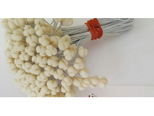 ������� ��� ����� �����.jpg