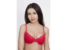 BF0834 ������� �����������