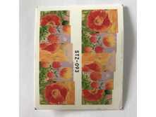 �������-������ 1 �� 13 ���