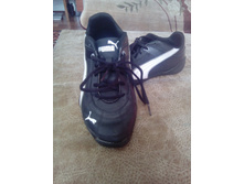 IMG 20180318 140419.jpg