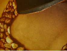 ����������