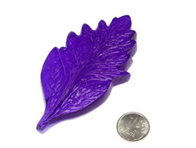 ���� ���������� �.jpg