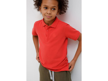 20110110102   Zweig   ���������� preview.jpeg