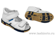 260-01 ������� ����� ����, 2 ���� - 1550 ���