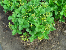 ��������� ������ ����....jpg