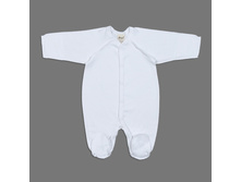 -------22-231.jpg----�����------