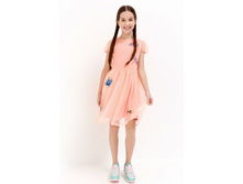 20210200222   Fornax   ������-���������� preview.jpeg