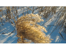 P 20180308 162718 DF.jpg