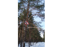 IMG 20180325 093538.jpg