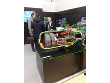 ������ ����� 2018