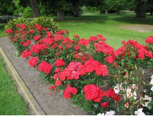 ������ 4�� 160�.jpeg