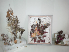 IMG 20180208 124117.jpg