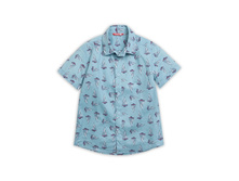 BWCT4046 ������� ������� ��� ��������� (1 �� � ���.) PELICAN