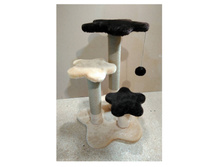 �� 975 ���  (70��)  ������� �������� "���������"