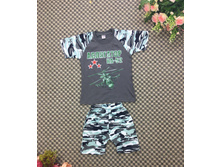 290� ������:104,110,116 ����