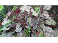 2012 ��� (26).JPG