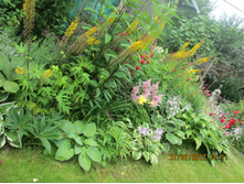 ����� ����� ����