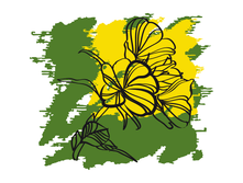 ������� �������� ����� ���������������� 15 ��