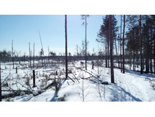 IMG 20180317 124640.jpg