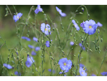 �� (�ϣ ����)