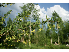 �������� ���ԣ�....jpg