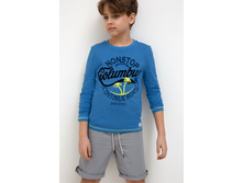 20110100127   Exupery   ����� preview.jpeg