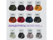 297 ���+% �����������