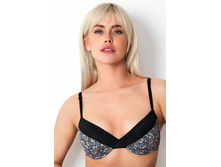 BF0806 �����������.jpg