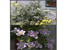 2016 ��� (97).jpg