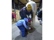 IMG 20171126 140126.jpg