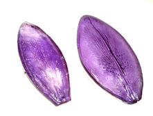 �������� �����.jpg