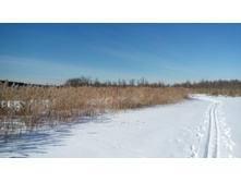 IMG 20180310 113806.jpg