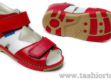 360-23 ������� �����/���. ����, 2 ���� - 1740 ���