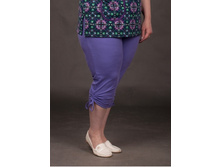 2/13-2080� ����� ���. ����������